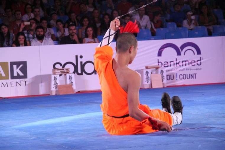 Martial Arts Festival